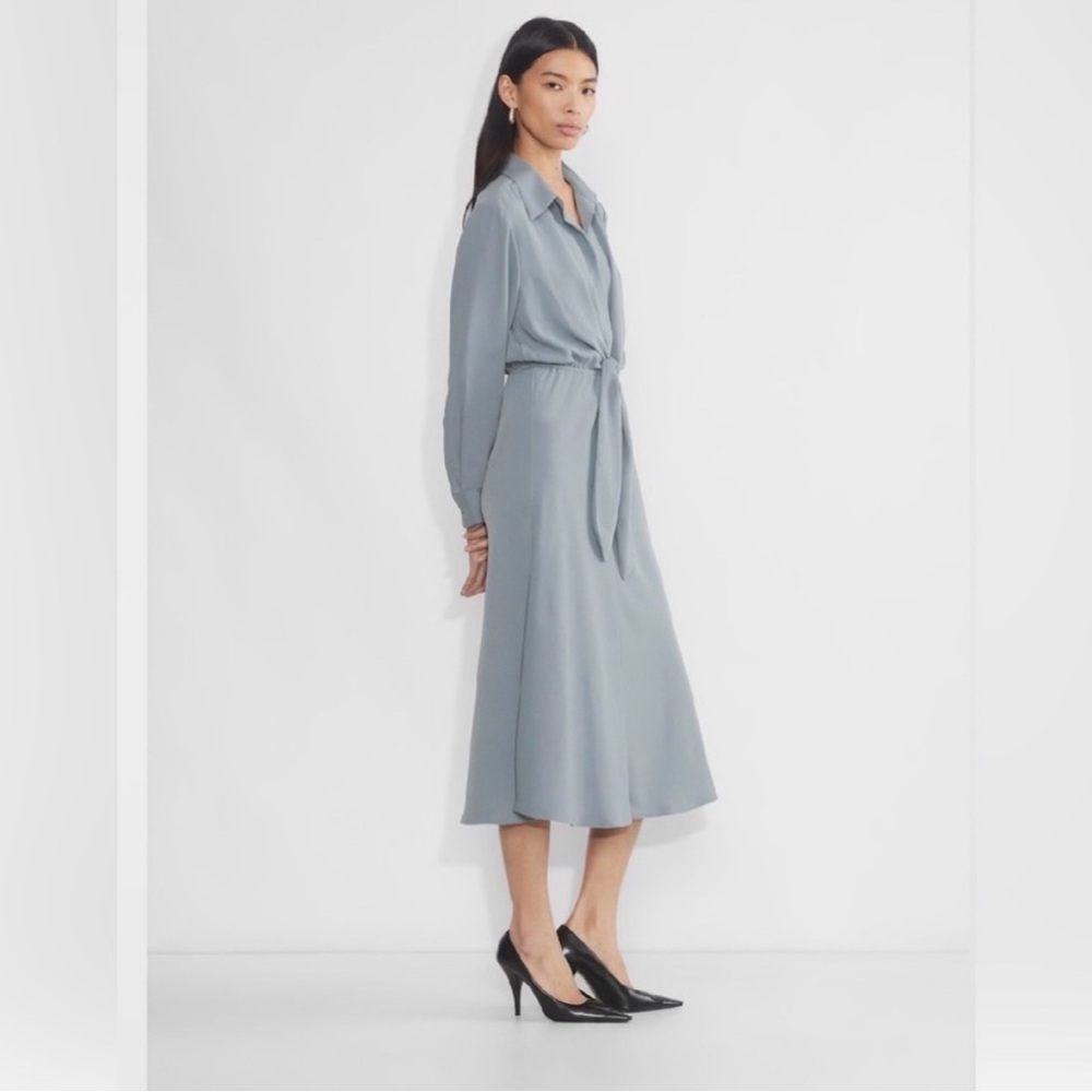 Aritzia Babaton Abbey dress